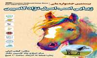 إقامة المهرجان الوطني العشرين لجمال خيول كاسبين في كيلان