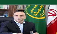 وزارة الزراعة تؤكد على القمح المحلي عالي الجودة لضمان الأمن الغذائي