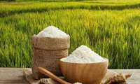توقع إنتاج 1.8 مليون طن من الأرز في البلاد هذا العام