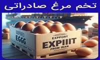 إيران وعمان تعقدان اجتماعا مشتركا بشأن صادرات البيض