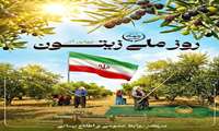 ایران تسجل یوم 25 نوفمبر یوما وطنیا للزیتون