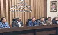 رفيعي بور يؤكد على ضرورة تطوير الصناعات الأم في مجال الطب البيطري