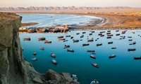 تنمية الثروة السمكية: استراتيجية للأمن الغذائي والعملات الأجنبية