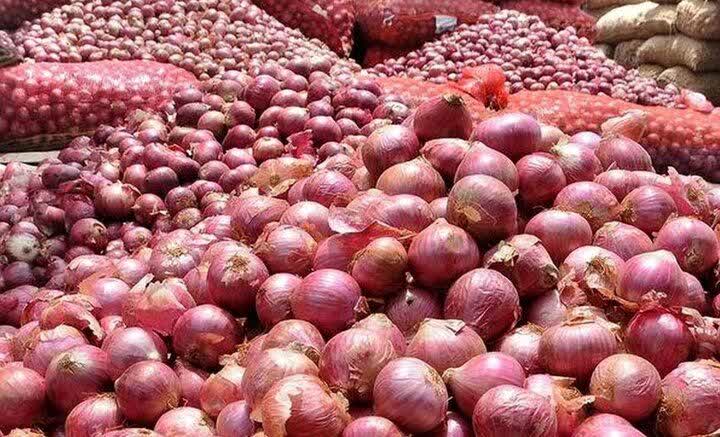ایران تصدر 8300 طن من بصل فارس إلى تركيا خلال شهري يوليو وأغسطس 